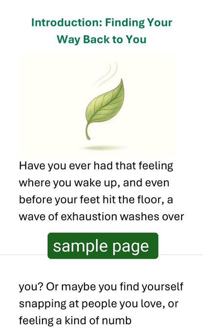 Burnout to Balance: Reclaim Your Energy &amp; Focus-eBook
